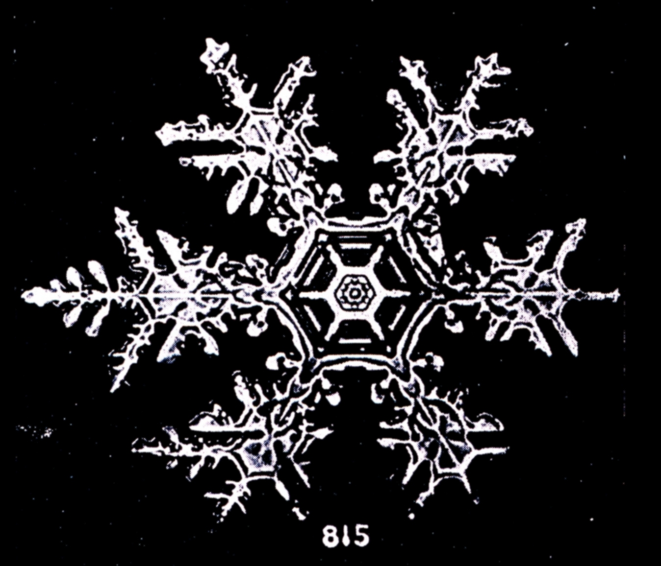 The Science of Snowflakes
