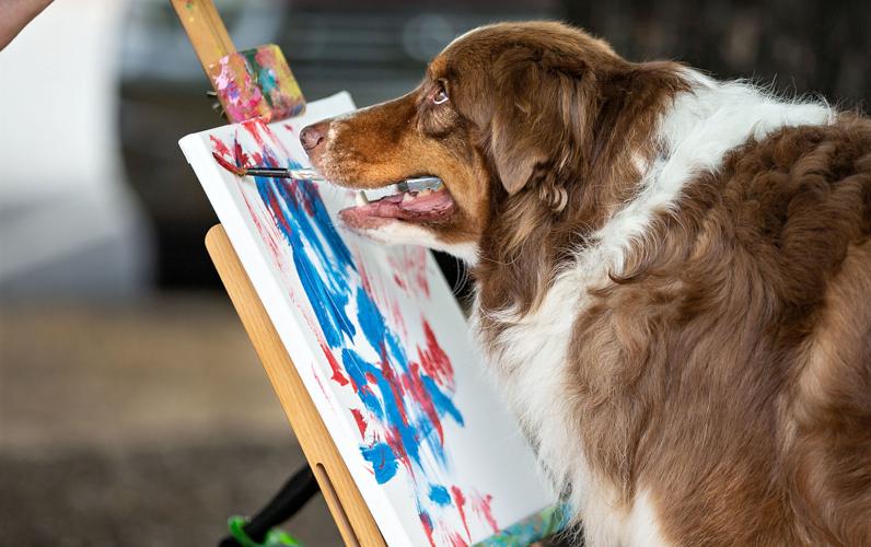 Carmine the dog painting a picture