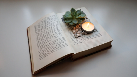 Book Planter