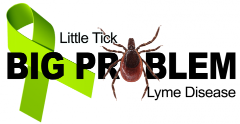 Little tick, Big Problem Lyme Disease Logo