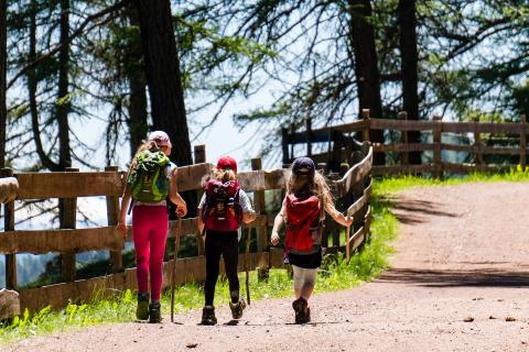 kids hiking