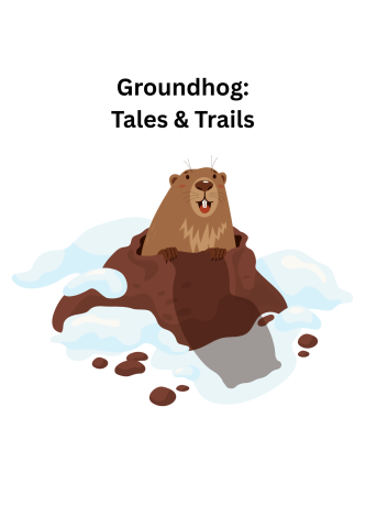 groundhog looking at his shadow