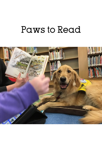 dog listening to book being read