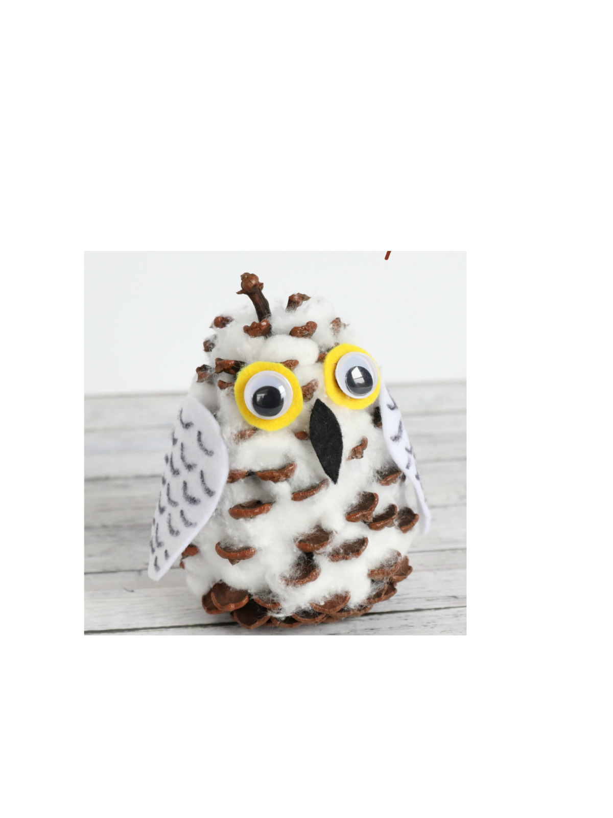 snow owl pine cone