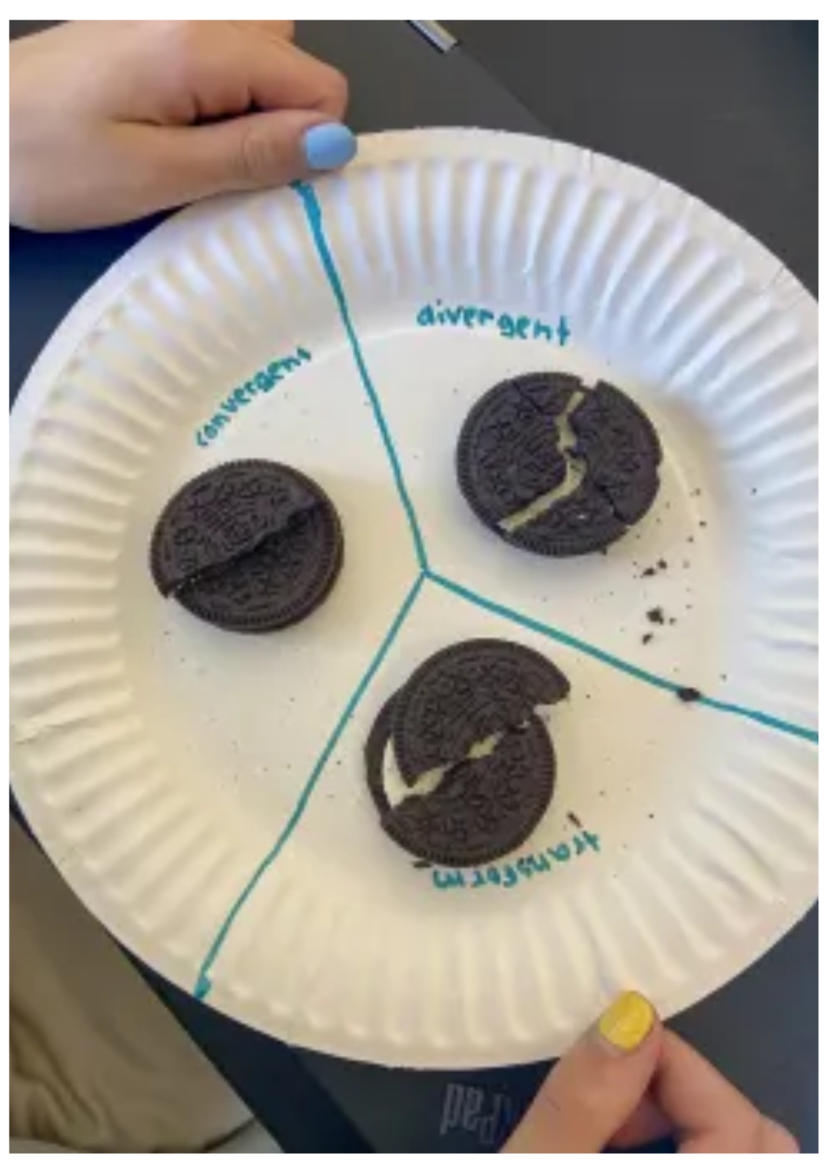 3 oreo cookies on a plate, broken